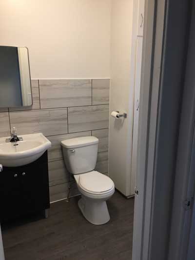 Apt1 Toilet and sink
